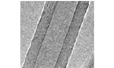Multi wall Carbon nanotube